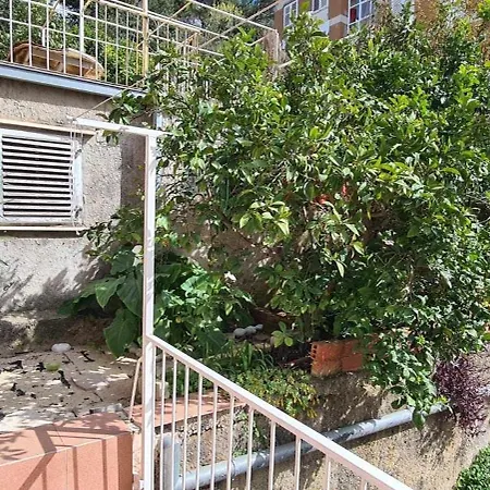 Amorinho Apartmán *