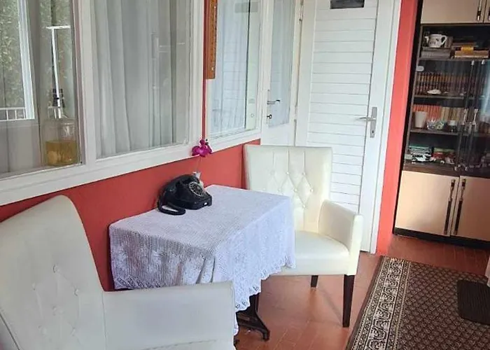 Amorinho